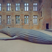 Abbildung von Gil Shachar. The Cast Whale Projekt. St. Elisabeth-Kirche, Berlin 2021