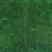 Abbildung von Marcus Kaiser. Großes grünes Bild. 2008–2009