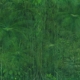 Abbildung von Marcus Kaiser. Großes grünes Bild. 2008–2009