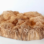 Abbildung von Martin Kargruber. Der Hut im Gras. 2020