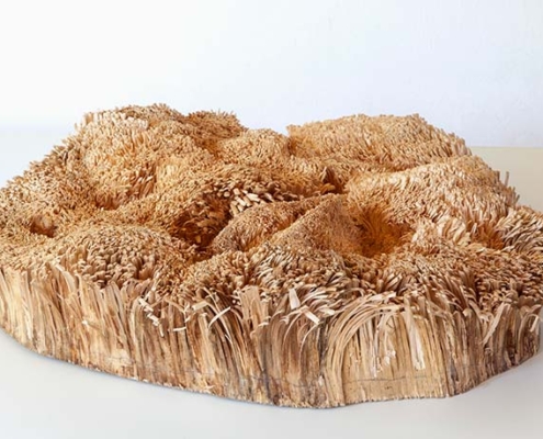 Abbildung von Martin Kargruber. Der Hut im Gras. 2020