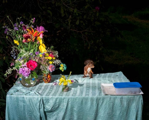 22.02.–26.04.26<br>Stadtmuseum Münster: Tierische Stillleben von Lia Darjes Abbildung von Lia Darjes. Plate XXXI 2023