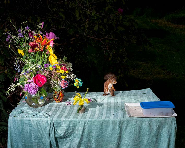 22.02.–26.04.26<br>Stadtmuseum Münster: Tierische Stillleben von Lia Darjes Abbildung von Lia Darjes. Plate XXXI 2023