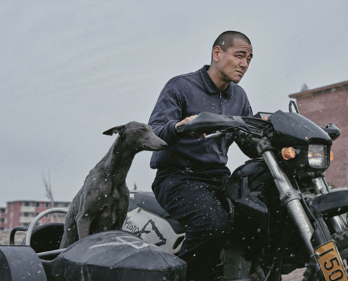 Black Dog. 2024 Abbildung von Black Dog. 2024