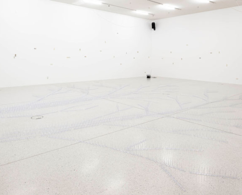 Steffani Jemison. Augur. 2026. Installationsansicht Westfälischer Kunstverein. Foto: Thorsten Arendt Abbildung von Steffani Jemison. Augur. 2026. Installationsansicht Westfälischer Kunstverein. Foto: Thorsten Arendt