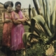 Lebohang Kganyes Arbeit „Ka 2-phisi yaka e pinky II“ aus der Serie „Ke Lefa Laka: Her-story“ mit zwei Frauen in rosafarbenen Kleidern neben großen Pflanzen